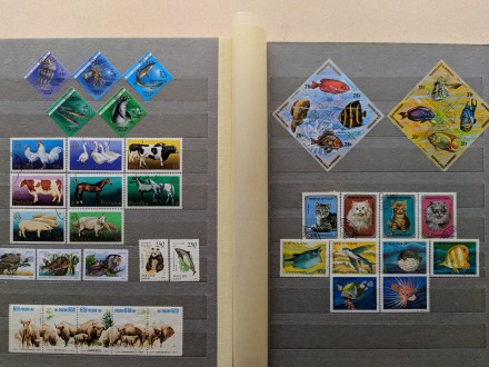 В коллекцию !

Почтовые марки разных стран мира от 6 грн. Договорная.
Марки н. . фото 7