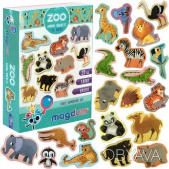 Набір магнітів "Зоопарк" буде гарним подарунком для дитини. У наборі є 20 магніт. . фото 1