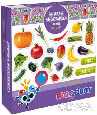Магнітні фігурки допоможуть дитині познайомитися з фруктами і овочами, навчитися. . фото 1