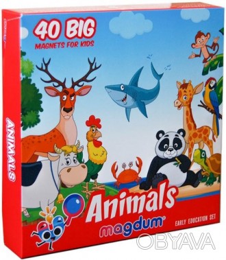 Хочете зробити цікавий і корисний подарунок дитині?
Набір магнітів Animals обов'. . фото 1