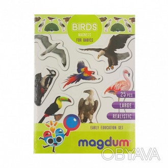 Набір навчальних магнітів від українського бренду Magdum подарує безліч цікавих . . фото 1