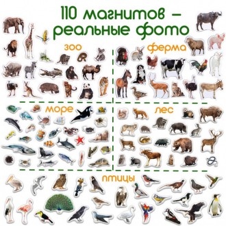 В одному наборі 110 магнітів: • тварини ферми • тварини зоопарку • птиці • мешка. . фото 3