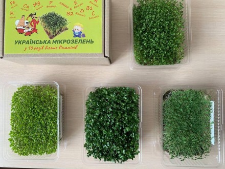 
Набор для выращивания Микрозелени 5 культур "Энергия": Питательная Энергия в Ва. . фото 5