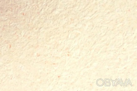 Рідкі шпалери Тюльпан 1121 основа целюлоза колір білий, шовк колір персиковий.
О. . фото 1