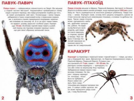Книга "Большая книга. Пауки". В книге популярно рассказано о пауках, их внешнем . . фото 3