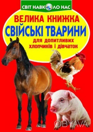 В этой книге рассказывается о домашних животных, их внешний вид, особенности пов. . фото 1