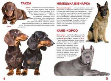  Книга "Большая книга. Собаки". В этой книге рассказывается о собаках, их внешни. . фото 3