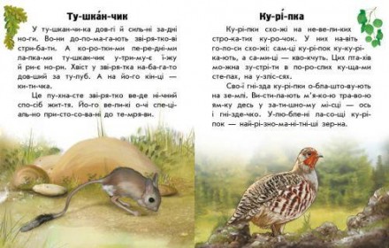Книги серии "Читаю об Украине" - это именно то, что нужно малышу, который уже ум. . фото 3