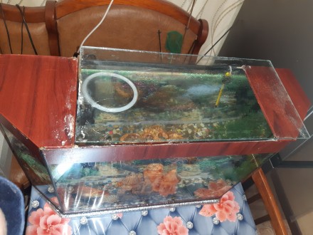Продам акваріум із золотими рибками і все що знаходиться в ньому: повітря з філь. . фото 5