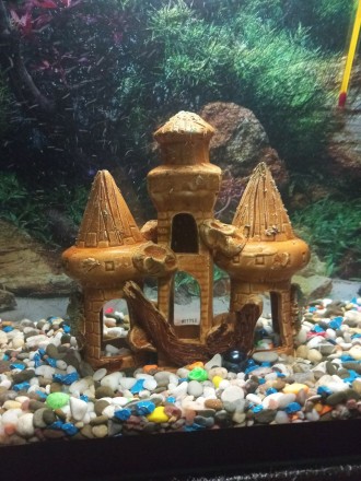 Продам акваріум із золотими рибками і все що знаходиться в ньому: повітря з філь. . фото 4