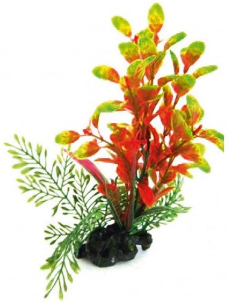 Мистецтвознавці акваріумні рослини FLORA ON PEBBLES За якістю виконання і зовніш. . фото 4