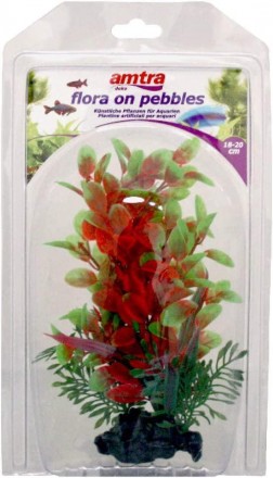 Мистецтвознавці акваріумні рослини FLORA ON PEBBLES За якістю виконання і зовніш. . фото 9