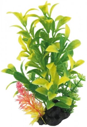 Мистецтвознавці акваріумні рослини FLORA ON PEBBLES За якістю виконання і зовніш. . фото 6