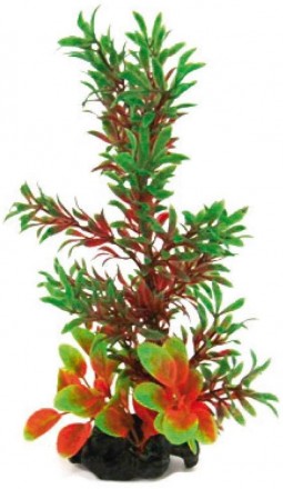 Мистецтвознавці акваріумні рослини FLORA ON PEBBLES За якістю виконання і зовніш. . фото 3