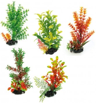 Мистецтвознавці акваріумні рослини FLORA ON PEBBLES За якістю виконання і зовніш. . фото 2