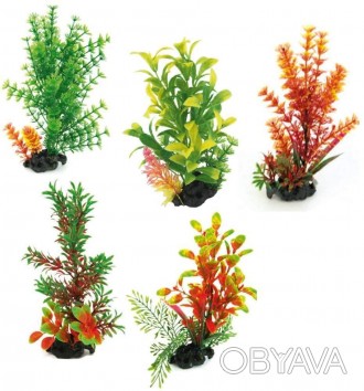 Мистецтвознавці акваріумні рослини FLORA ON PEBBLES За якістю виконання і зовніш. . фото 1