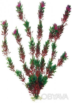 Мистецтвознавці акваріумні рослини Flora Classic За якістю виконання і зовнішнім. . фото 1