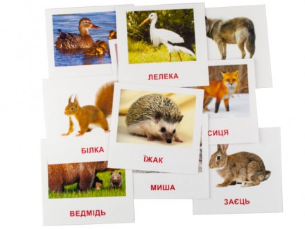 На кожній з карток зображені різні лісові тварини і їх назви.. . фото 3