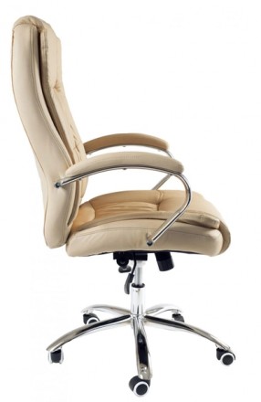 
Кресло офисное TF Кали Lux Хром Anyfix эко-кожа бежевая
Кресло Техфорвард Кали . . фото 3