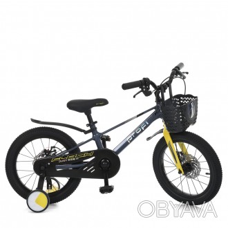 Велосипед детский двухколёсный 16 дюймов МАГНИЕВЫЙ с корзинкой Profi Flash MB 16. . фото 1