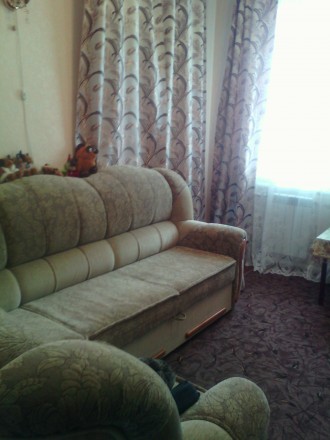 Продам дом  село Павловка полностью с мебелью и все что есть в доме ,два гаража,. Светловодск. фото 12