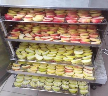 Сушильный шкаф СШ-М (10 лотков)
Предназначен для сушки фруктов, ягод, овощей и г. . фото 10