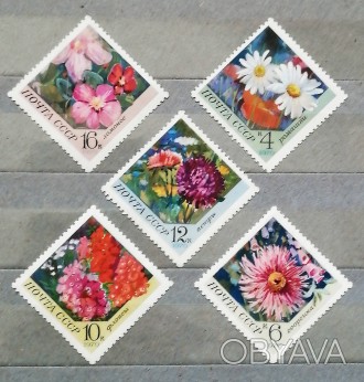 Марки  негашені  СРСР   5  марок  Квіти  1970  рік.  Стан  -  як  на   фото.. . фото 1