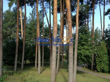 АРЕНДА БУДИНКА в современном стиле, окруженного живописным сосновым лесом. Этот . . фото 11