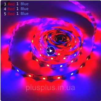 Светодиодные лампы широкого спектра могут выступать в качестве единственного ист. . фото 3
