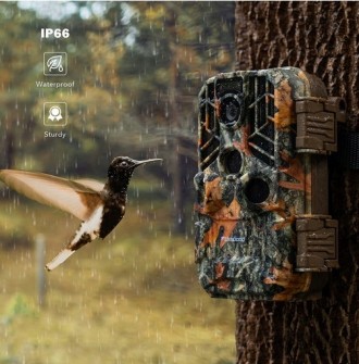 Фотоловичка лісова камера 30mp 4k gprs wifi dl503
 
【Роздільна здатність зображе. . фото 3