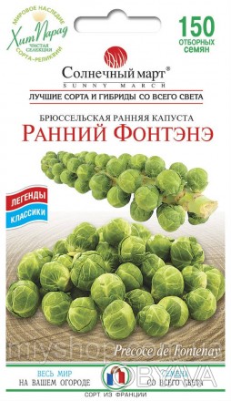 Французский фаворит в течение многих веков, производящий темно-зеленые, довольно. . фото 1