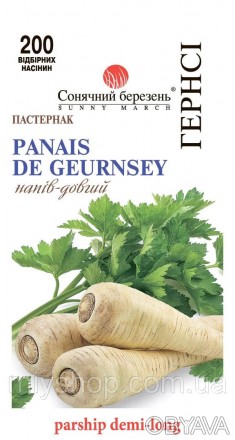 Пастернак - древний овощ, который культивируется в Европе более 500 лет. «Гернси. . фото 1