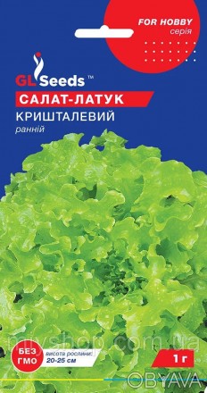 Високодекоративний, ранньостиглий (42-45 днів), холодостійкий сорт листового сал. . фото 1