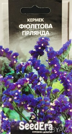 
Весь ассортимент семян вы можете просмотреть на сайте glavniy-agronom.com.ua
Ра. . фото 1