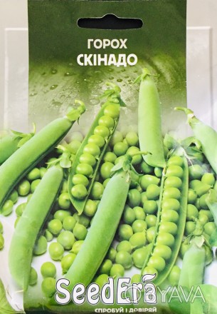 Весь ассортимент семян вы можете просмотреть на сайте glavniy-agronom.com.ua
Вег. . фото 1