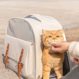 Рюкзак переноска для животных – это лучшее решение для вас и вашего питомца. Пе. . фото 9