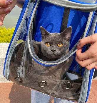  Рюкзак-переноска для кошек и собак CosmoPet - это инновационный рюкзак, который. . фото 11