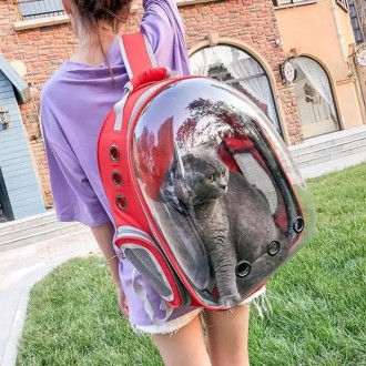  Инновационный рюкзак-переноска капсула с прозрачными стенками – это идеальный п. . фото 5