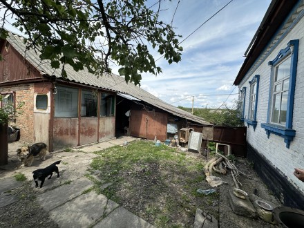 Кіровогадська область,Олександрійський район.Продається житловий будинок в с.Зве. . фото 6