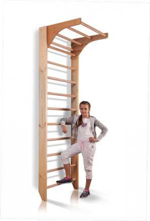 SportBaby Шведская стенка с турником «Комби-1-240». Киев. фото 1 SportBaby Шведская стенка с турником «Комби-1-240». Киев. фото 1
