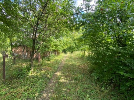 Пропоную до Вашої уваги земельну ділянку в с.Карпівці, (Хмельницька область, Ярм. . фото 5