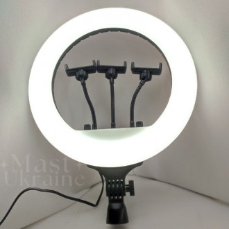 Кольцевая профессиональная светодиодная LED лампа с тремя держателями для телефо. . фото 4
