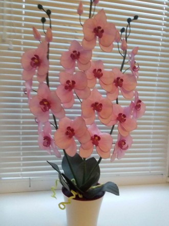 Хто бажає постійно квітучу орхідейку? Не потребує поливу, проста в догляді, можн. . фото 2