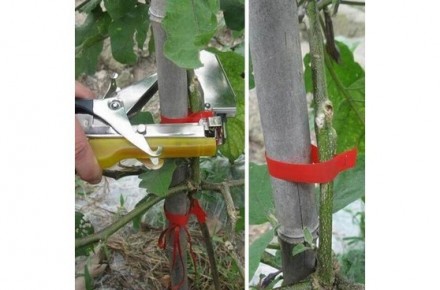 Посилений механічний степплера призначений для зв'язування та фіксації лоз виног. . фото 8