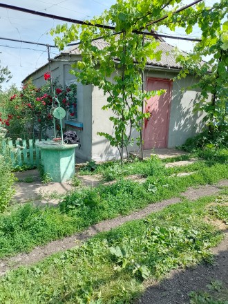 Продам будинок з зручностями 100кв.м. в житловому стані, опалення -твердопаливни. Новоукраинка. фото 3