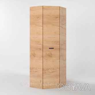 Однодверный угловой шкаф Соната-700 является частью мебельной гарнитуры из колле. . фото 1