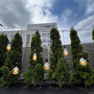 Ретро Гирлянда Сосулька 2м на 6 филаментных экономных ламп Эдисона по 6вт
В комп. . фото 8