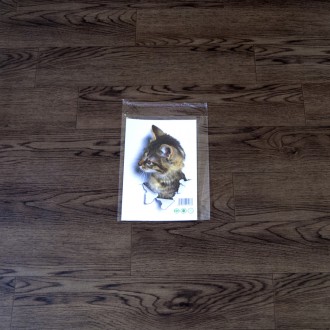 Інтер'єрна наклейка CD Кішка XH2002 25х16.5см – це швидкий спосіб класно прикрас. . фото 4