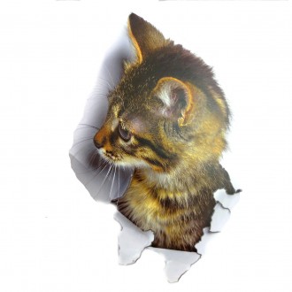 Інтер'єрна наклейка CD Кішка XH2002 25х16.5см – це швидкий спосіб класно прикрас. . фото 2