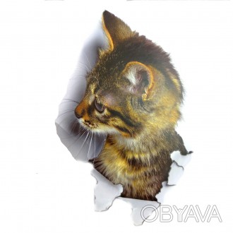 Інтер'єрна наклейка CD Кішка XH2002 25х16.5см – це швидкий спосіб класно прикрас. . фото 1
